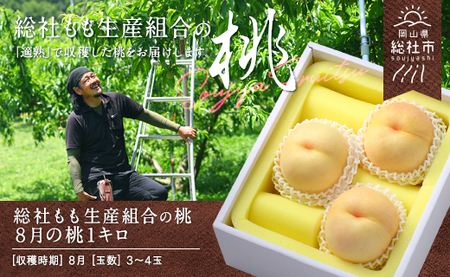 白桃「恵白」自家用2kg