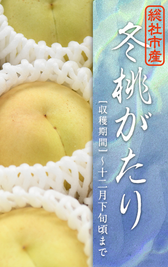 12月収穫の桃冬桃がたり