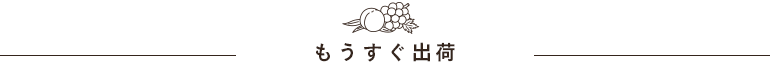 もうすぐ出荷
