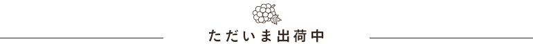 ただいま出荷中の果物