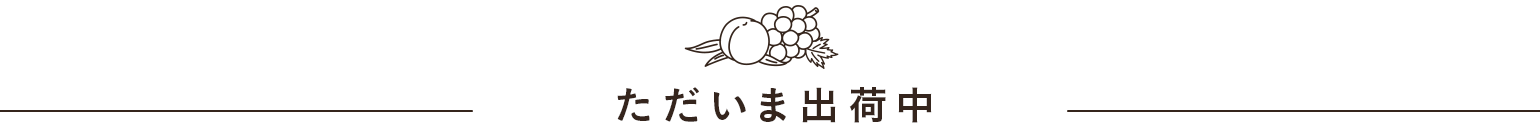 ただいま出荷中