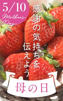 母の日_いちご_ヨーグルト