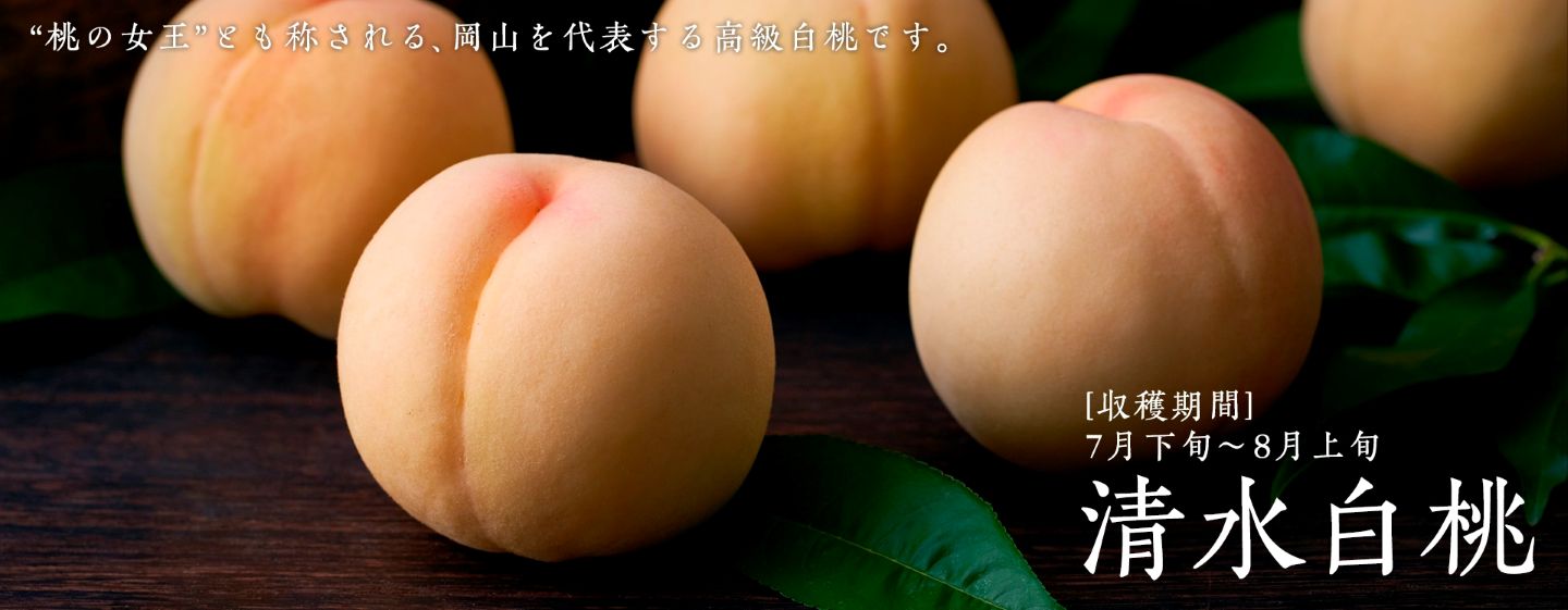 岡山の清水白桃