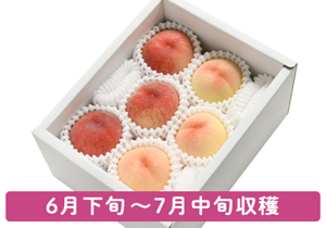 お土産ギフト紅白の桃