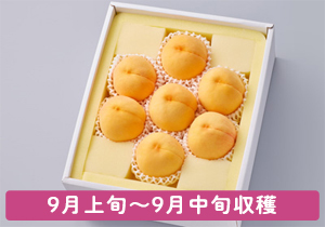 黄ららのきわみ厳選大玉2キロ