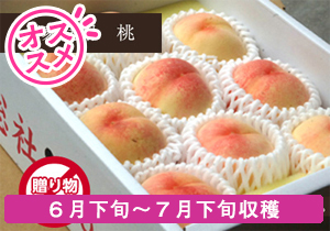 ご家庭用総社の桃