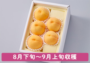 黄金桃秀品5玉
