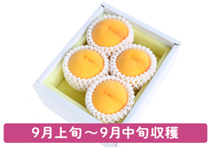 黄貴妃お土産ギフトう