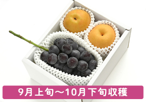 梨とピオーネ詰合せ