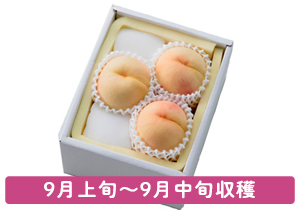 西王母お土産ギフト