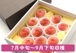 総社の桃★幸せのおすそわけ♪
