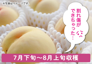 ご家庭用　清水白桃