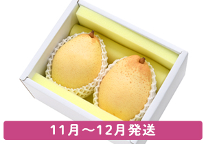 ヤーリー梨超大玉700g2玉