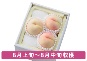 おかやま夢白桃お土産ギフト
