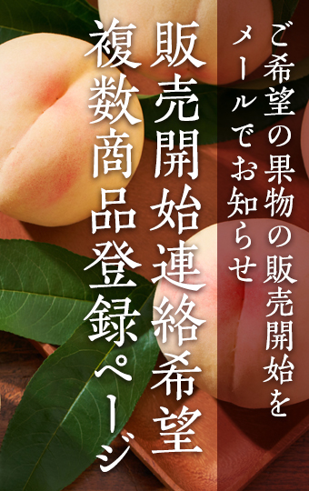 販売開始連絡希望,複数商品登録ページ