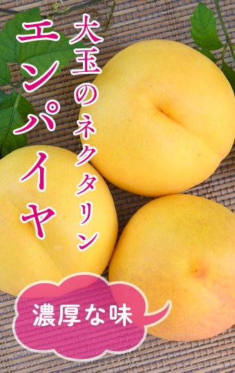 エンパイヤ。大玉でしっかりしたほどよい酸味があり濃厚な味の晩生のネクタリンです。