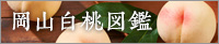 岡山白桃図鑑