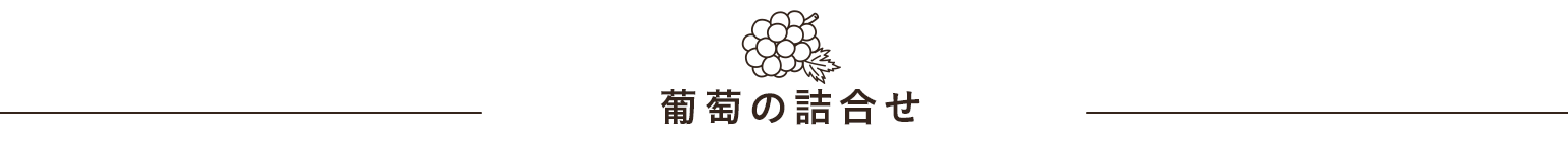 葡萄の詰合せ
