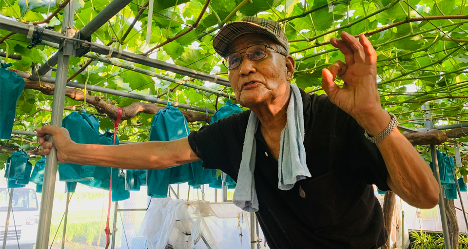 生産者の吉田宣孝さん