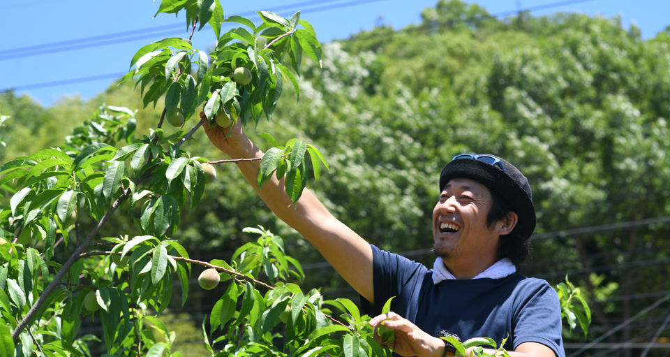 総社もも生産組合_佐伯良太朗さん
